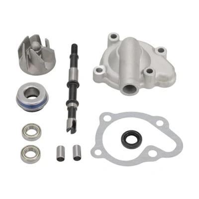 Immagine di GOOFIT Pompa acqua Assy sostituzione per CF250cc CH250cc 250cc ATV raffreddato ad Go Kart e Scooter
