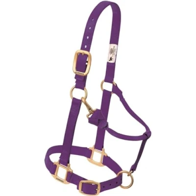 Immagine di Weaver Leather Original Adjustable 3/10,2 cm Weanling/Pony Chin And Throat Snap Halter, Viola