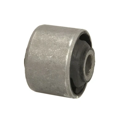 Immagine di DELPHI TD695W Supporto Assale