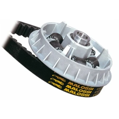 Immagine di Variatore Multivar 5113790 per scooter KYMCO SYM 4T