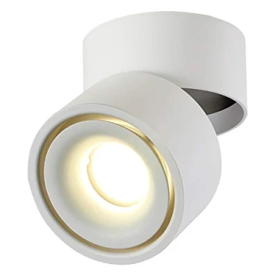 Immagine di Dr.lazy 10W LED Spot light Faretti da soffitto,Faretto Lampada,plafoniera faretto,Lampade Orientabili,Faretti muro,10x10x10CM (Bianco 4000K)