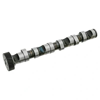 Immagine di FEBI BILSTEIN 26978 Albero a Camme Lato scarico, per cilindro 1 3 AUDI: A4 B6 Avant, A6 C5 Avant