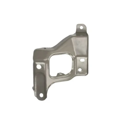 Immagine di BLIC 7802 03 7703382P Supporto, Parafango anteriore Sx, Dx